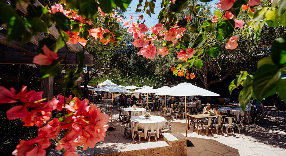 Firestone Vineyard patio adorned with vibrant bougainvillea flowers and tables shaded by umbrellas.